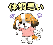 857516668