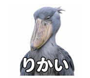 857517315
