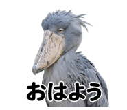 857517316