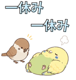 857518242