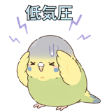 857518243