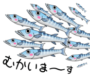 857518885