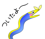 857518898