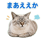 857521019