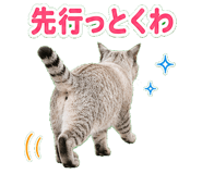 857521022