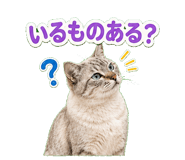 857521035