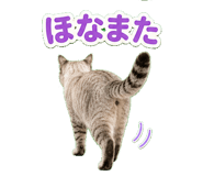 857521039