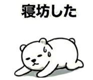857522999