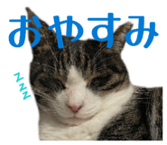 857523724
