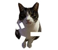857523726
