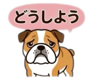 857523825