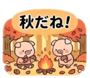 857523943