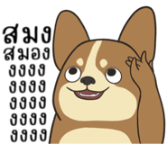 857524290