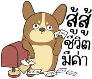 857524291