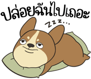 857524317