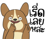 857524323