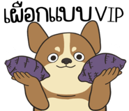 857524324