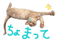 857524483