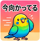 857525091