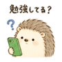 857527925
