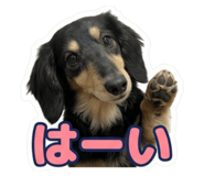 857529545