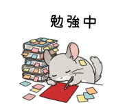 857531816