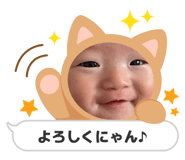 857532003