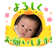 857532004