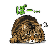 857532851