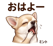 857534577