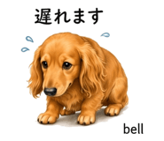 857534850