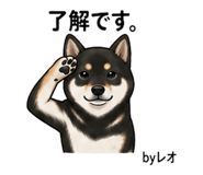 857535340
