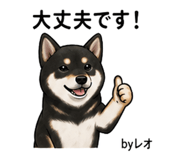 857535344