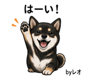 857535345