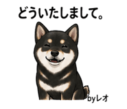 857535346