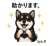 857535347