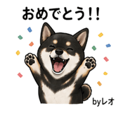 857535349