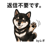 857535357