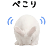 857537027