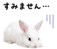 857537055