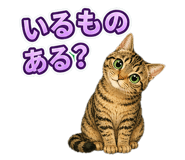 857537324