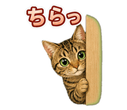 857537325