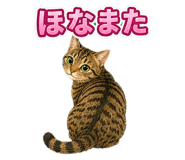 857537328