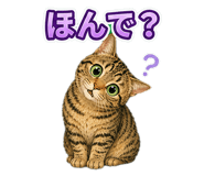 857537333