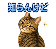 857537343