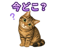 857537345