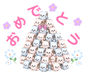 857538013