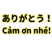 857538841