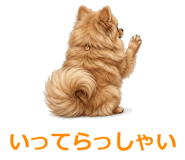 857539199
