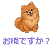 857539311